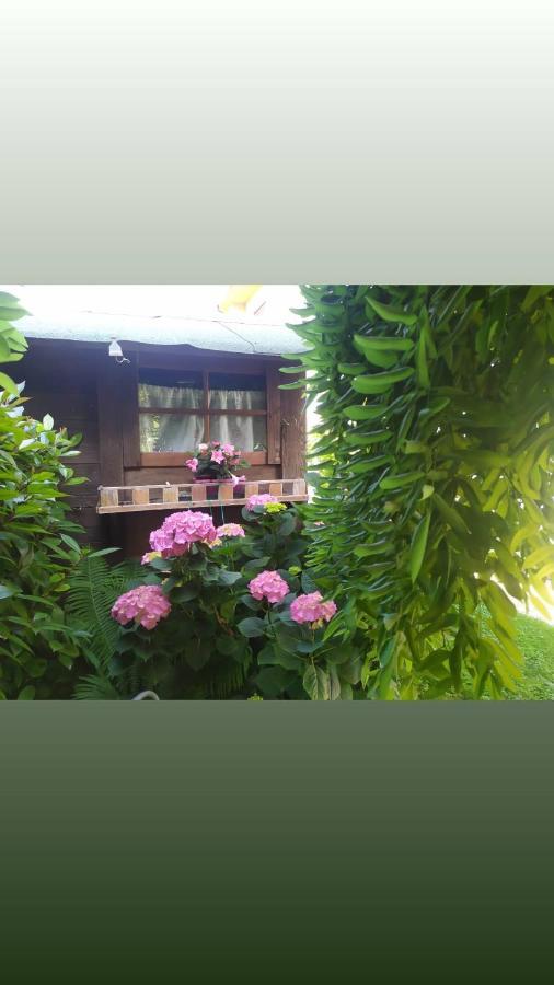 Al Casale B&B Casalserugo Esterno foto