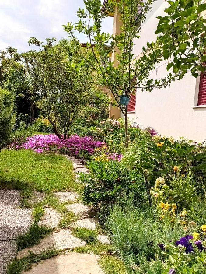 Al Casale B&B Casalserugo Esterno foto